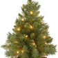 National Tree Company Pre-lit Artificial Mini Christmas Tree | Includes Small Lights and Cloth Bag Base | Majestic Fir - 2 ft