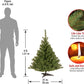 National Tree Company Artificial Mini Christmas Tree, Green, Kincaid Spruce, Includes Stand, 4 Feet