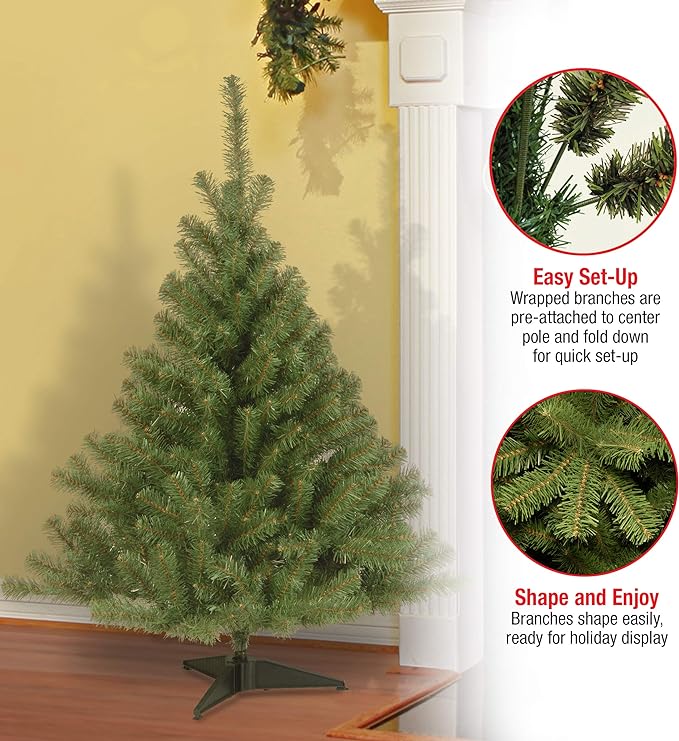 National Tree Company Artificial Mini Christmas Tree, Green, Kincaid Spruce, Includes Stand, 4 Feet