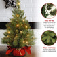 National Tree Company Pre-lit Artificial Mini Christmas Tree | Includes Small Lights and Cloth Bag Base | Majestic Fir - 2 ft