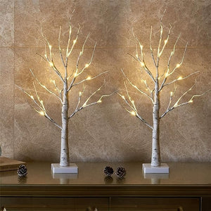 EAMBRITE Lighted Birch Tree for Home Decor, Christmas Decorations Indoor, 2Pack 24 LED Battery Operated Tabletop Mini Artificial Trees with Lights for Centerpiece Mantel Winter (2FT/Warm White)